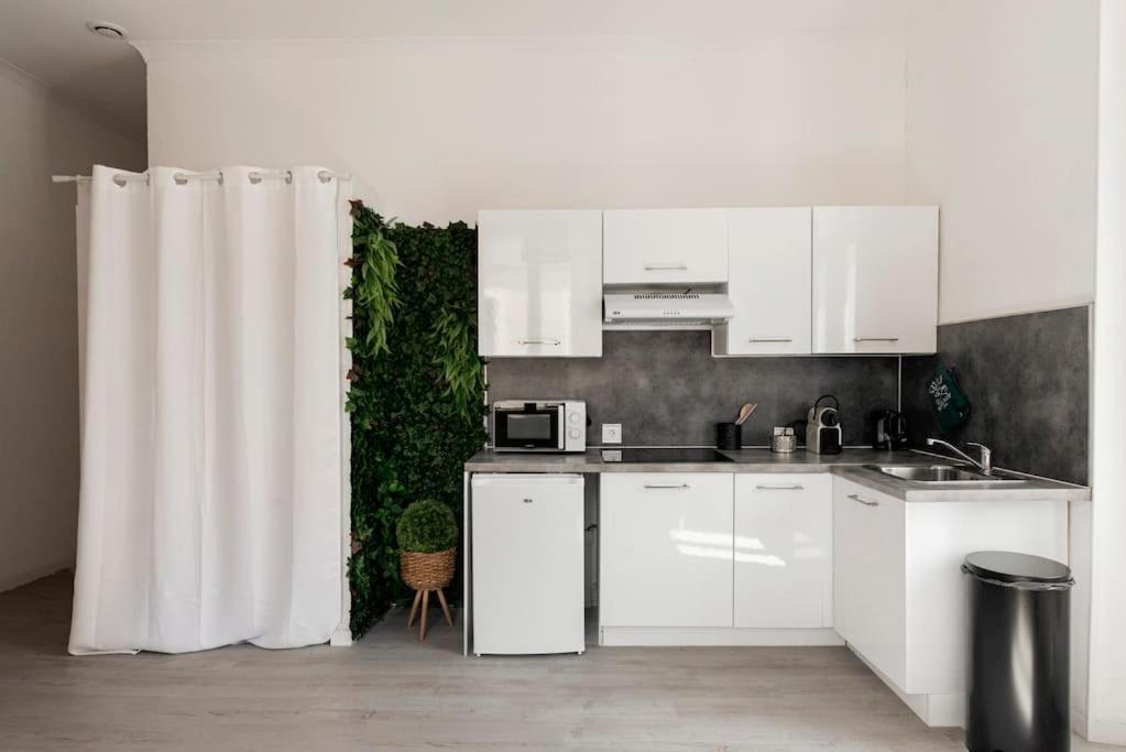 Charmant Studio Arbore Et Climatise Carcassonne Eksteriør billede
